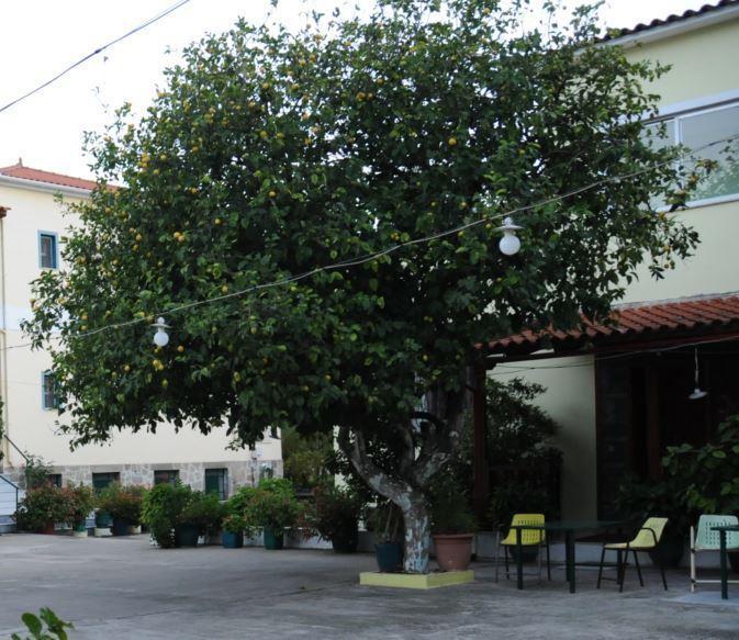 Costa-Rini Hotel Leonídion 외부 사진